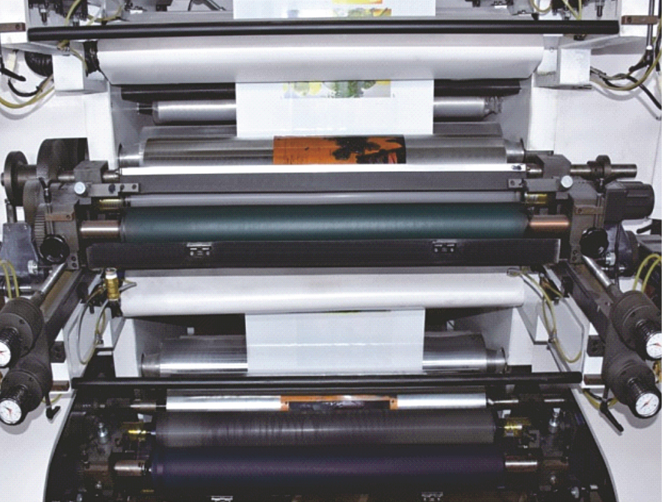 Eco-Friendly Printing Solutions