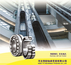 FO Bearing Catalog