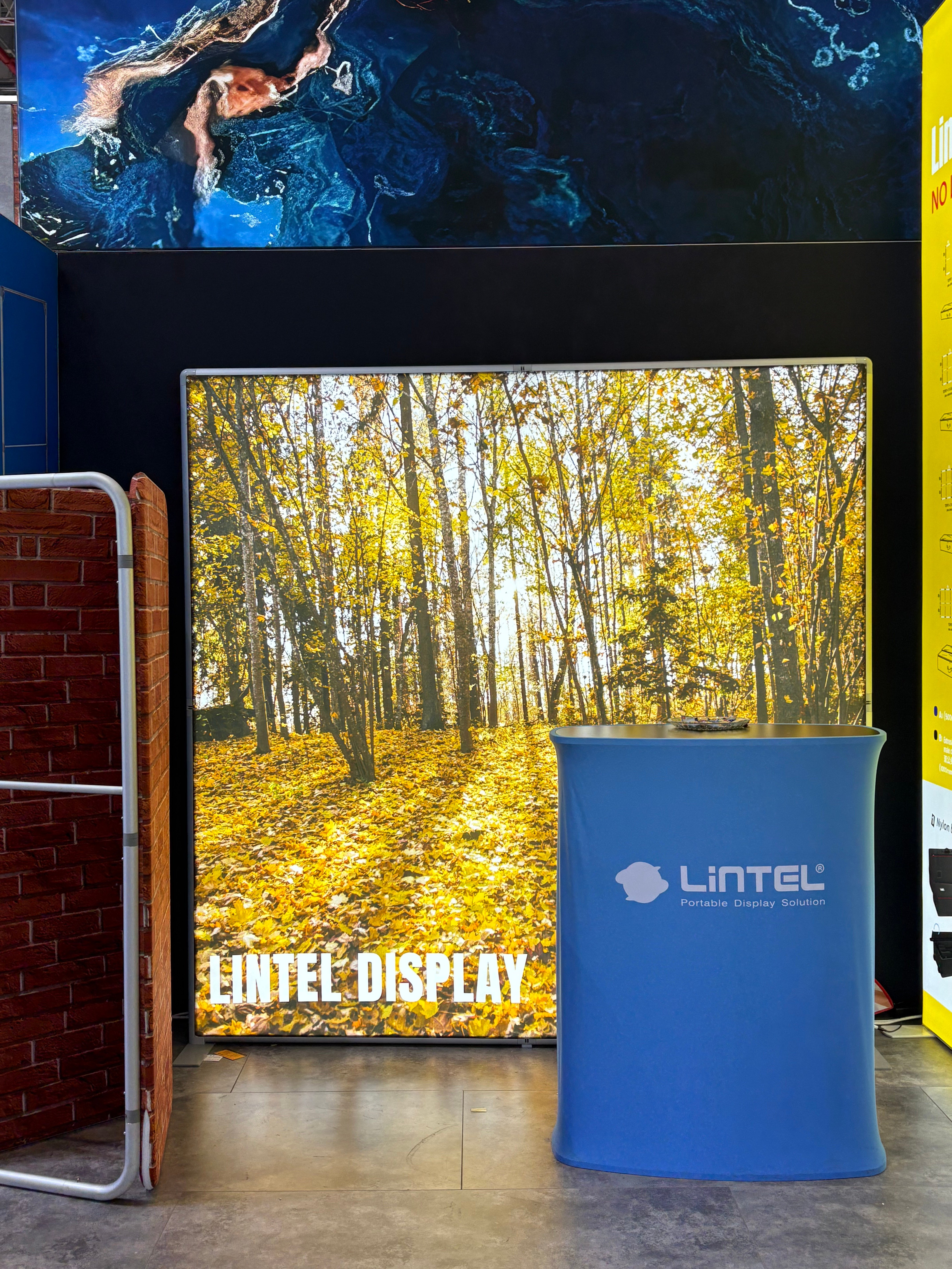 50mm EZ Tube Backlit Display.png