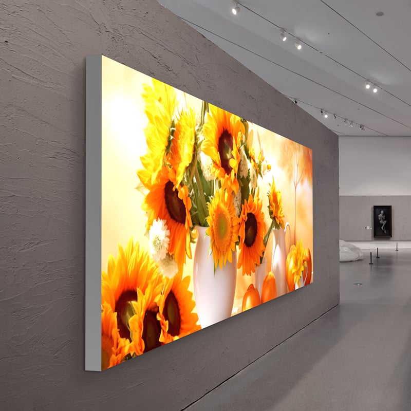 Why Retail and Event Designers Love the 50mm Round Tube Backlit Light Box?