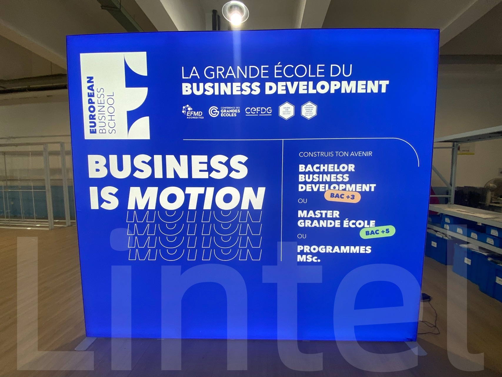 seg lightbox.jpg