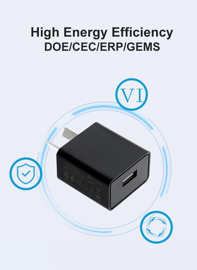 Argentina Plug 5V 500ma USB Charger