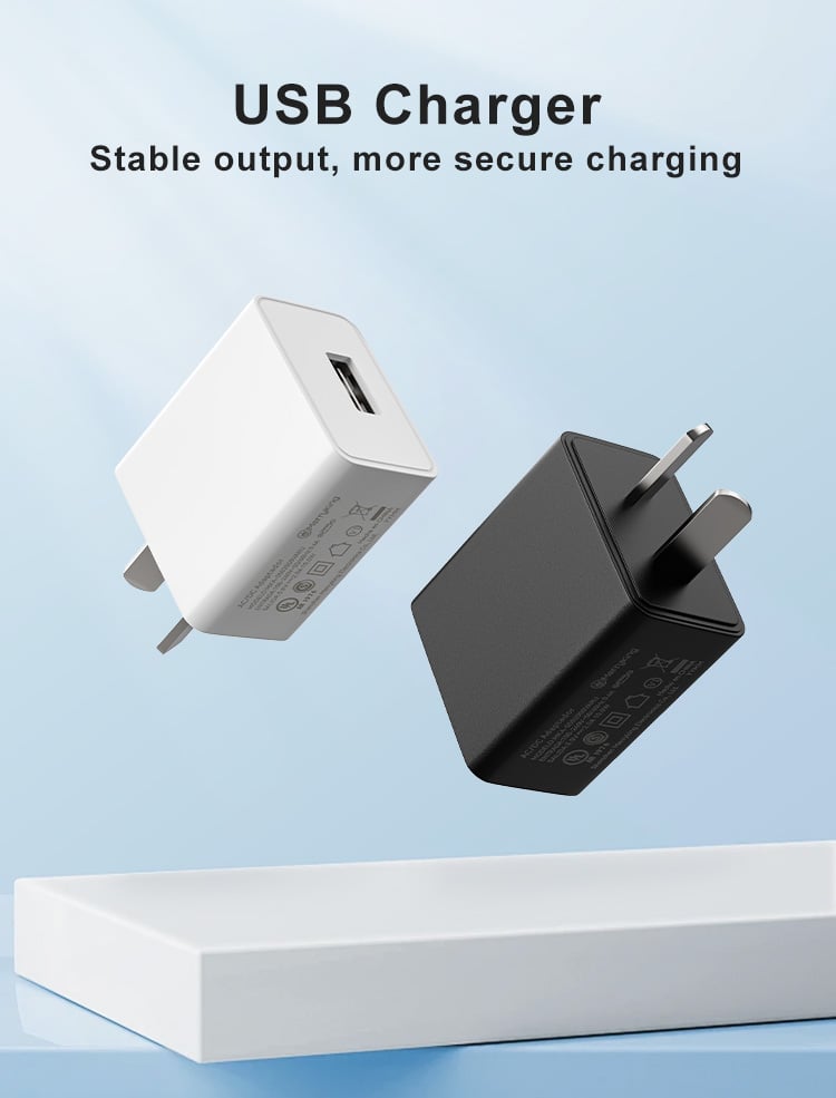 Argentina Plug 5V 500ma USB Charger