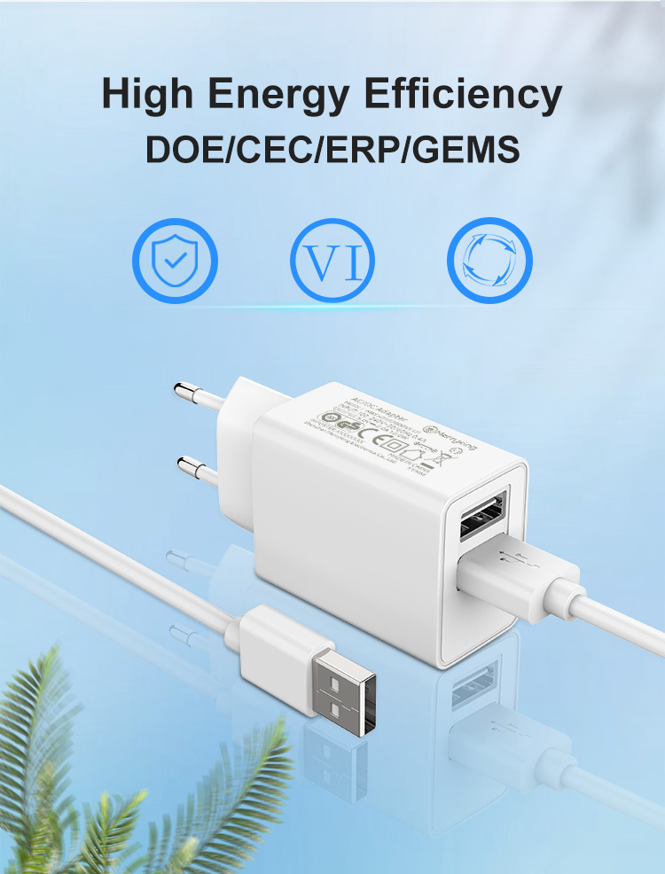 EU Plug 5V 800mA Dual USB A Charger