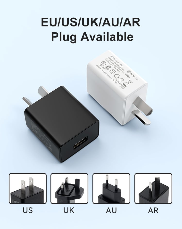Argentina Plug 5V 500ma USB Charger