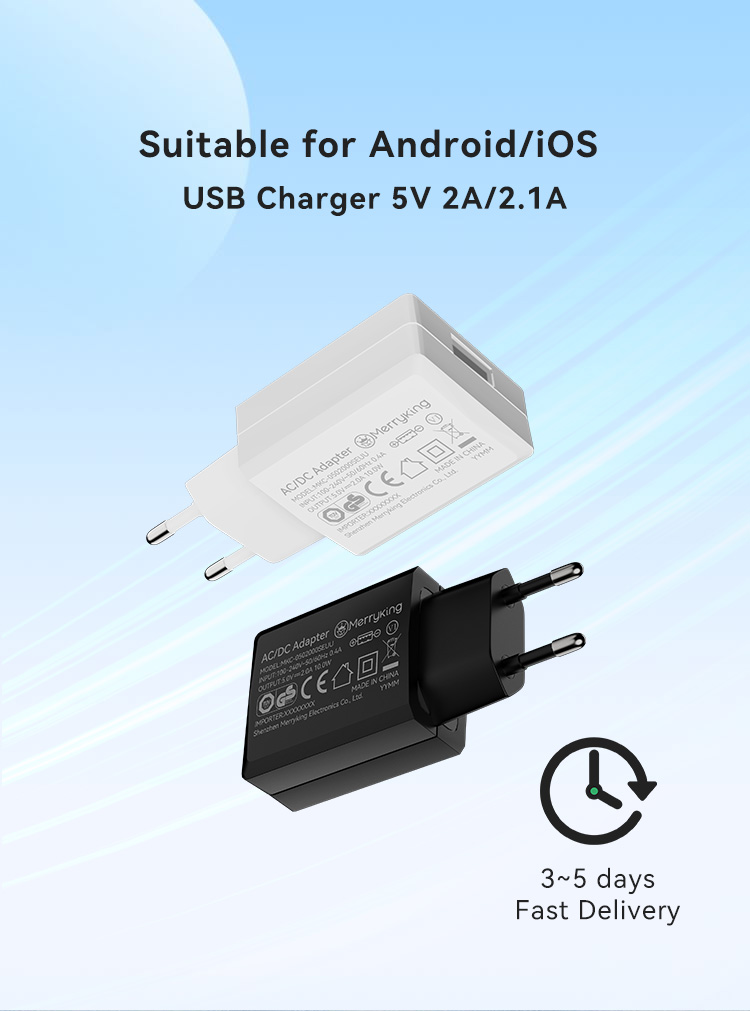 European Standard 5Volt 2.5Amp Wall Charger