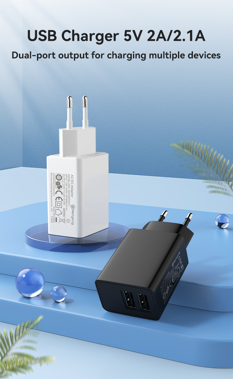 EU Plug 5V 800mA Dual USB A Charger