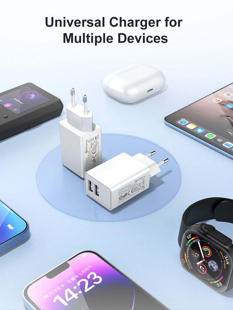 EU Plug 5V 800mA Dual USB A Charger