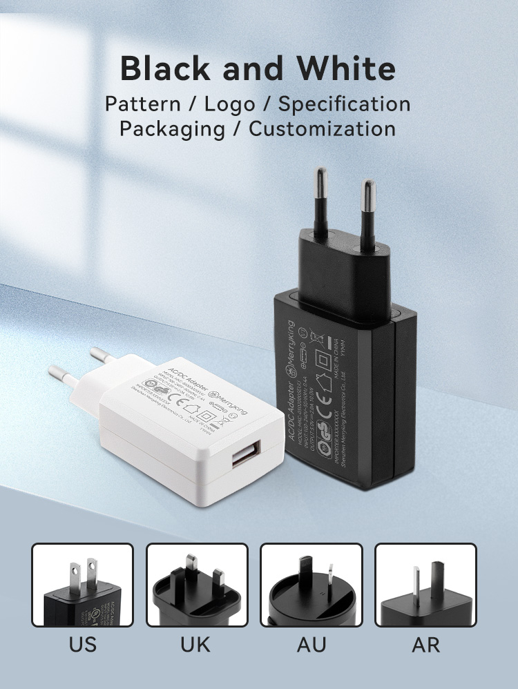 European Standard 5Volt 2.5Amp Wall Charger