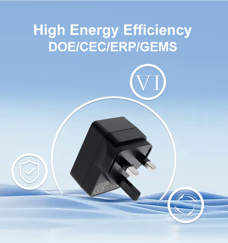AC DC 6 Volt 2 Amp Medical Power Supply