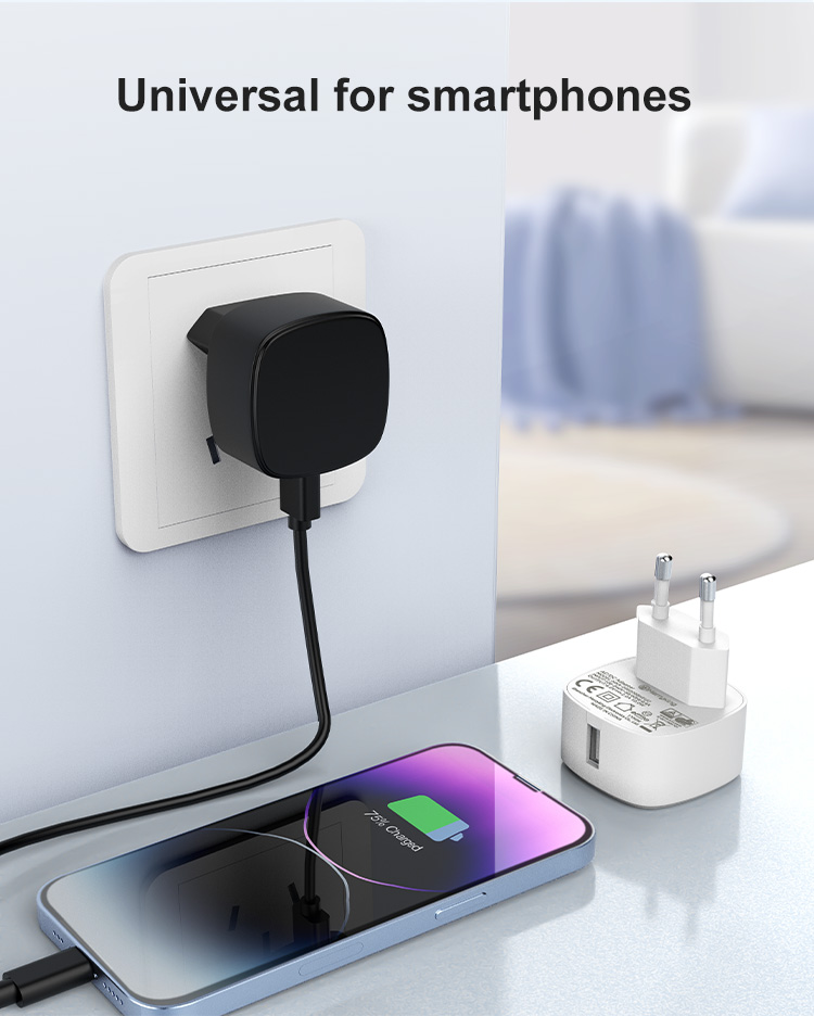 European Type 5V 2.5A USB Portable Charger