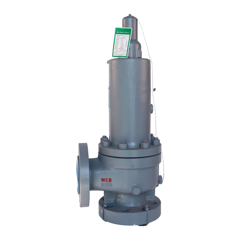 DIN EN  safety valve