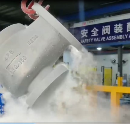 Low-temperature Treated Safety Valve Body