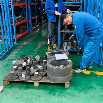 Processing Inspection