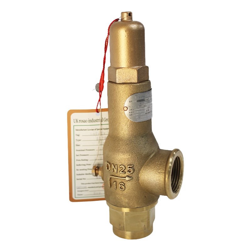 Balanced vs Conventional Spring Valves: A Comparison