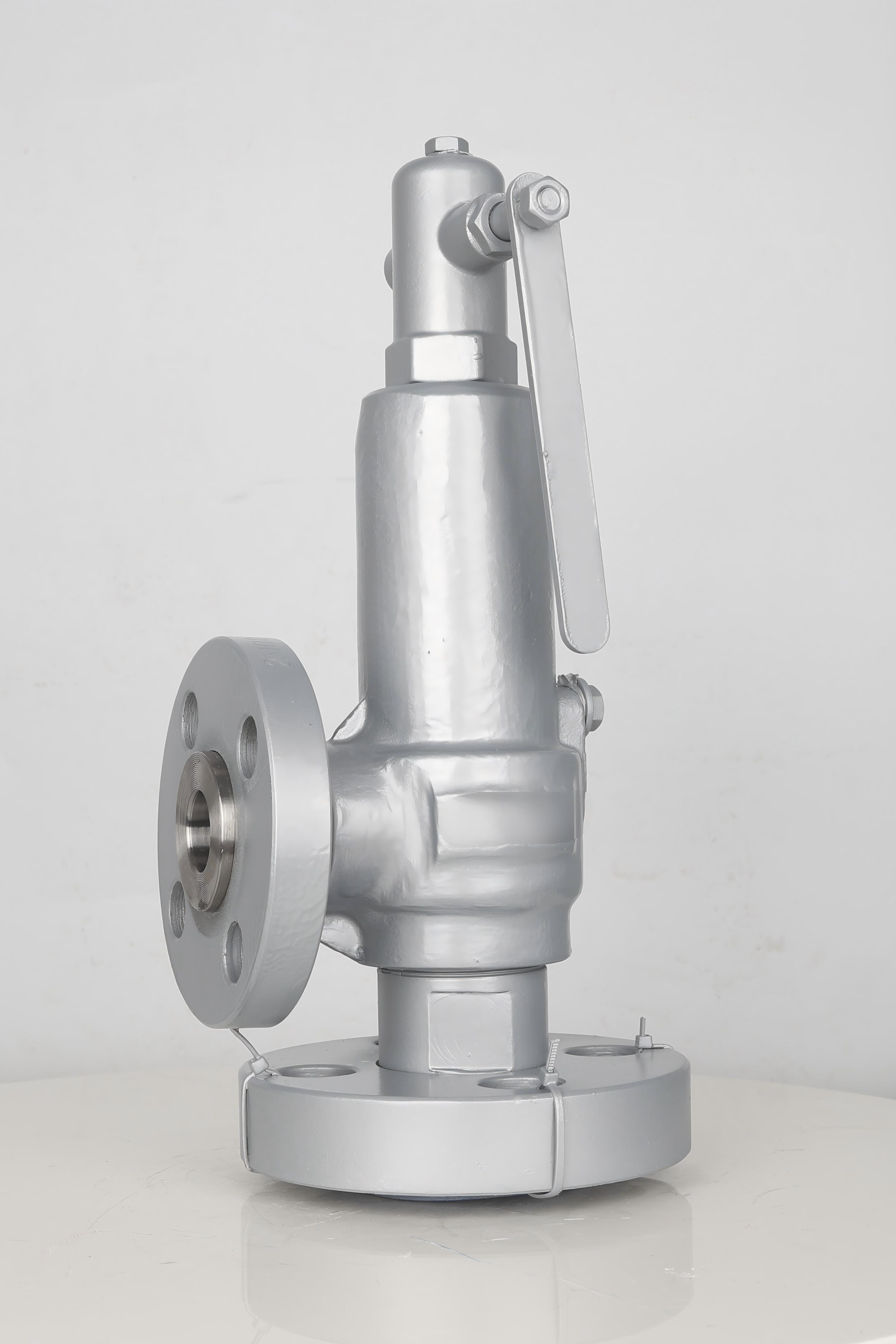Engineering Reliability and Global Delivery Capability in Industrial Safety Valves