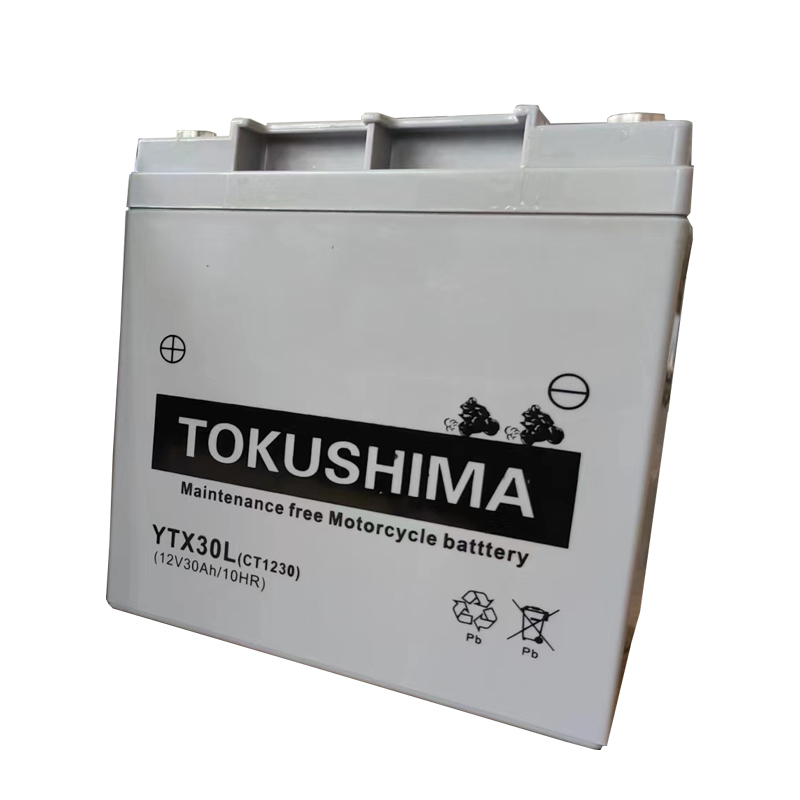 Batterie de démarrage GEL TOKUSHIMA 12V