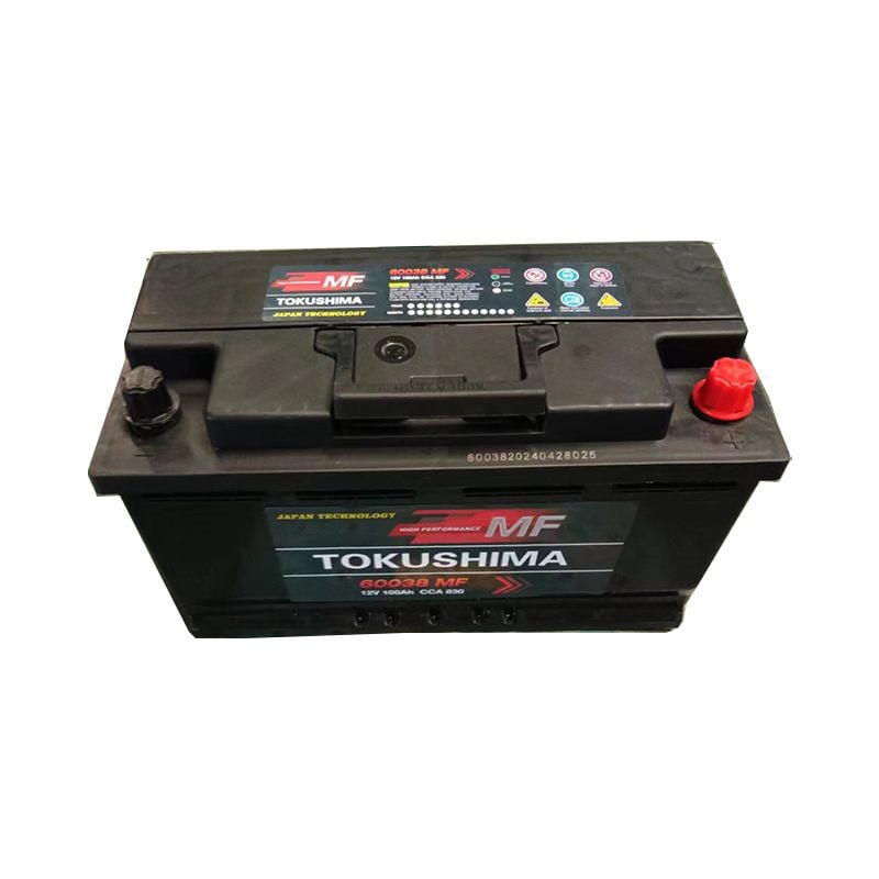 TOKUSHIMA DIN100 Truck Battery
