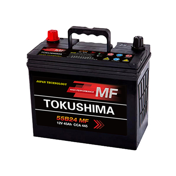 TOKUSHIMA JIS NX100-S6L bilbatteri