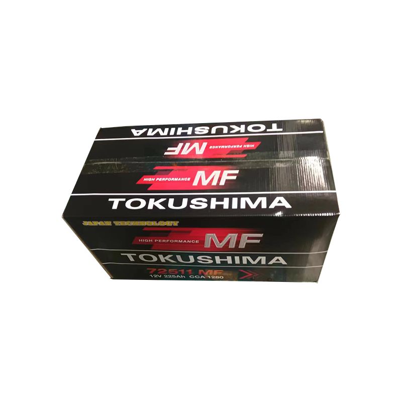 TOKUSHIMA DIN225 Truck Battery