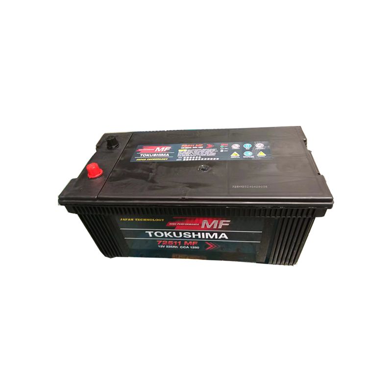 TOKUSHIMA DIN225 Truck Battery