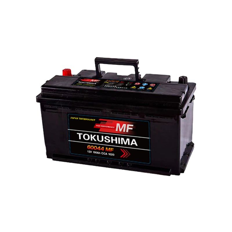 TOKUSHIMA DIN100 Truck Battery