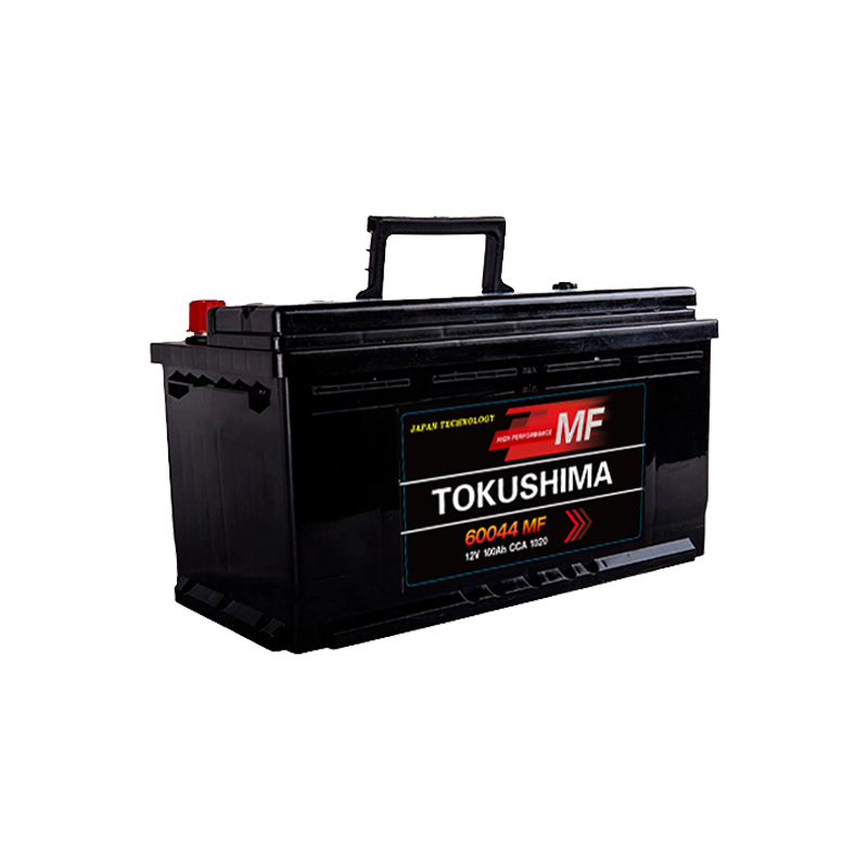 TOKUSHIMA DIN100 Truck Battery