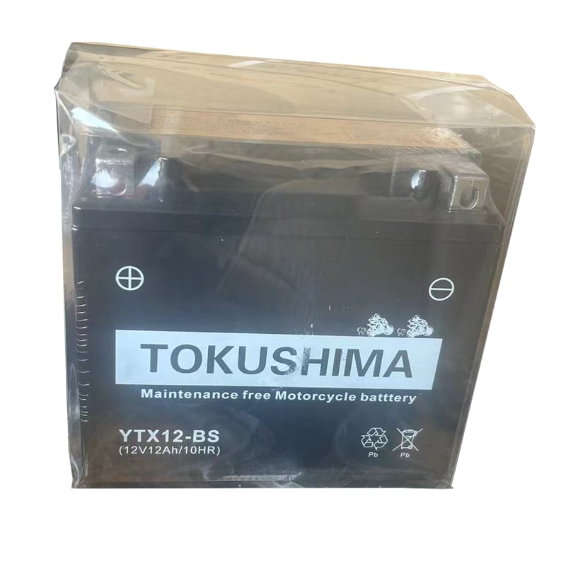 Batterie de démarrage GEL TOKUSHIMA 12V