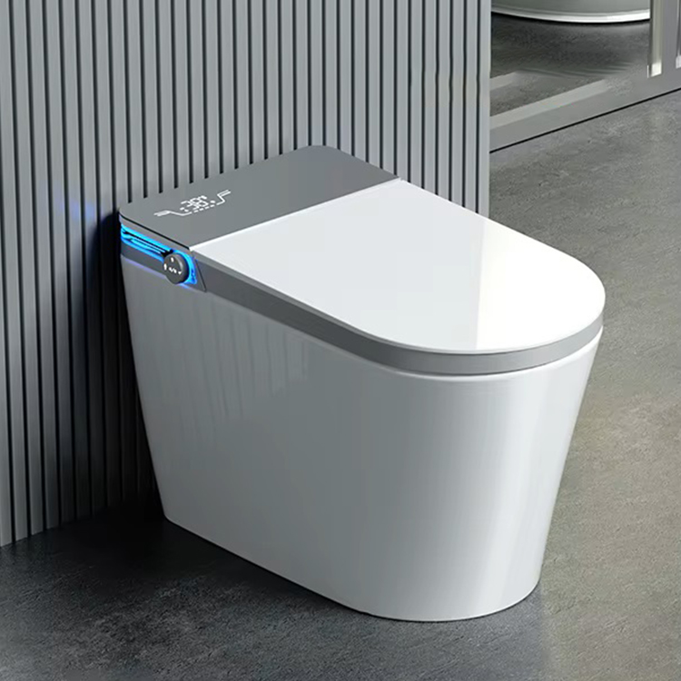 جودة عالية 110V/220V حديث إلكتروني مرحاض حمام تلقائي ذكي modern wc inodoro smart toilet