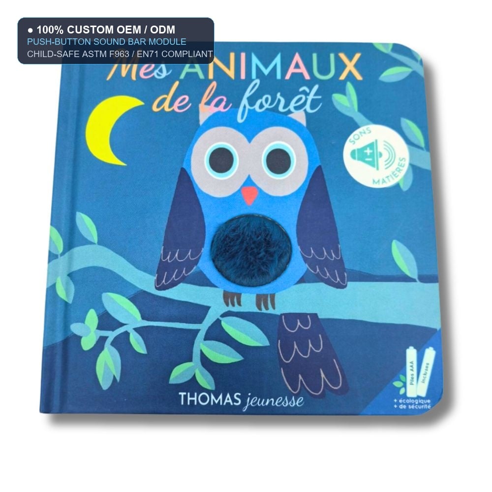 Electronic Audio Storybooks with Push-Button Sound Bars