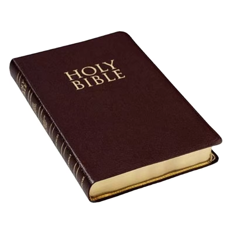Personalized Products Supplies Paperback Soft Hardcover Book Study Holy Cover Custom Paper Paperboard Printing Bible manufacture