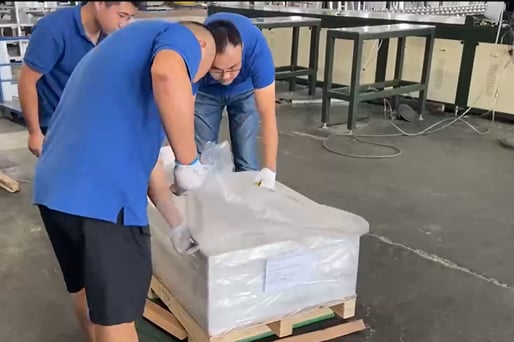 Inspection Process Record