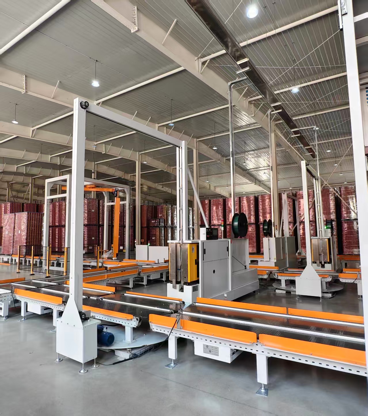 Canada's Warehouse Revolution: Implementing Automated Palletizers for Tomato Paste Cans
