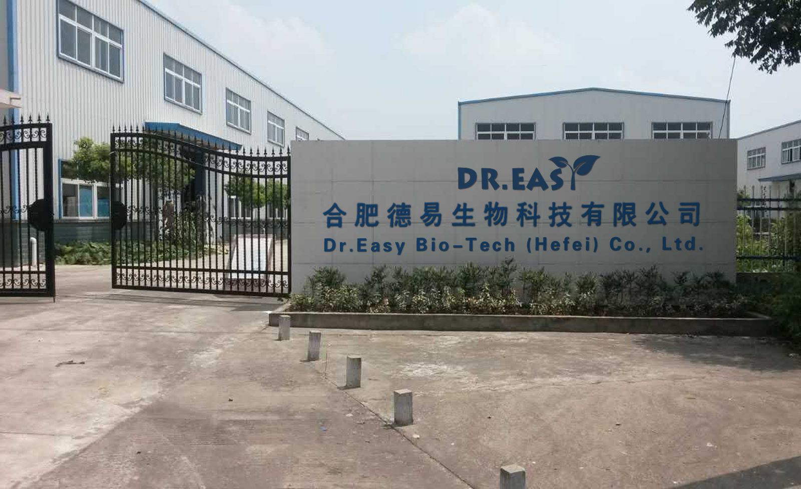 About Company
