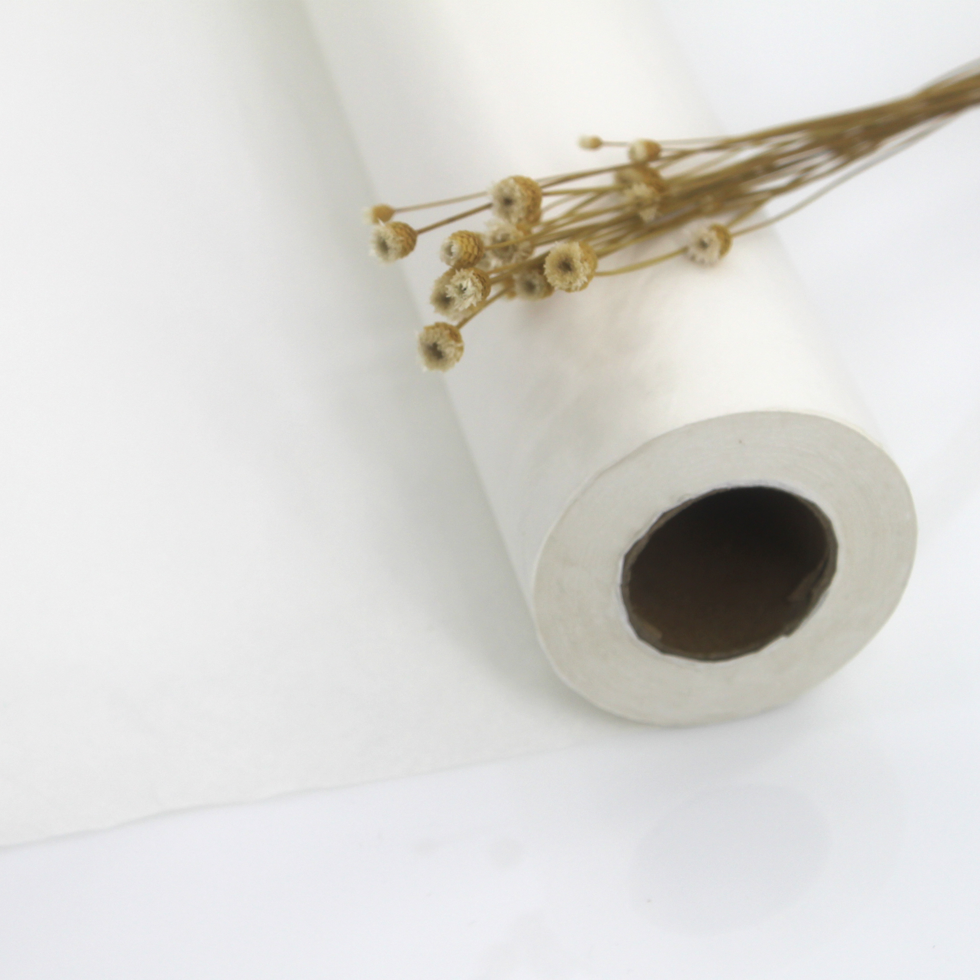 Disposable Sheet Rolls Comprehensive Buying Guide