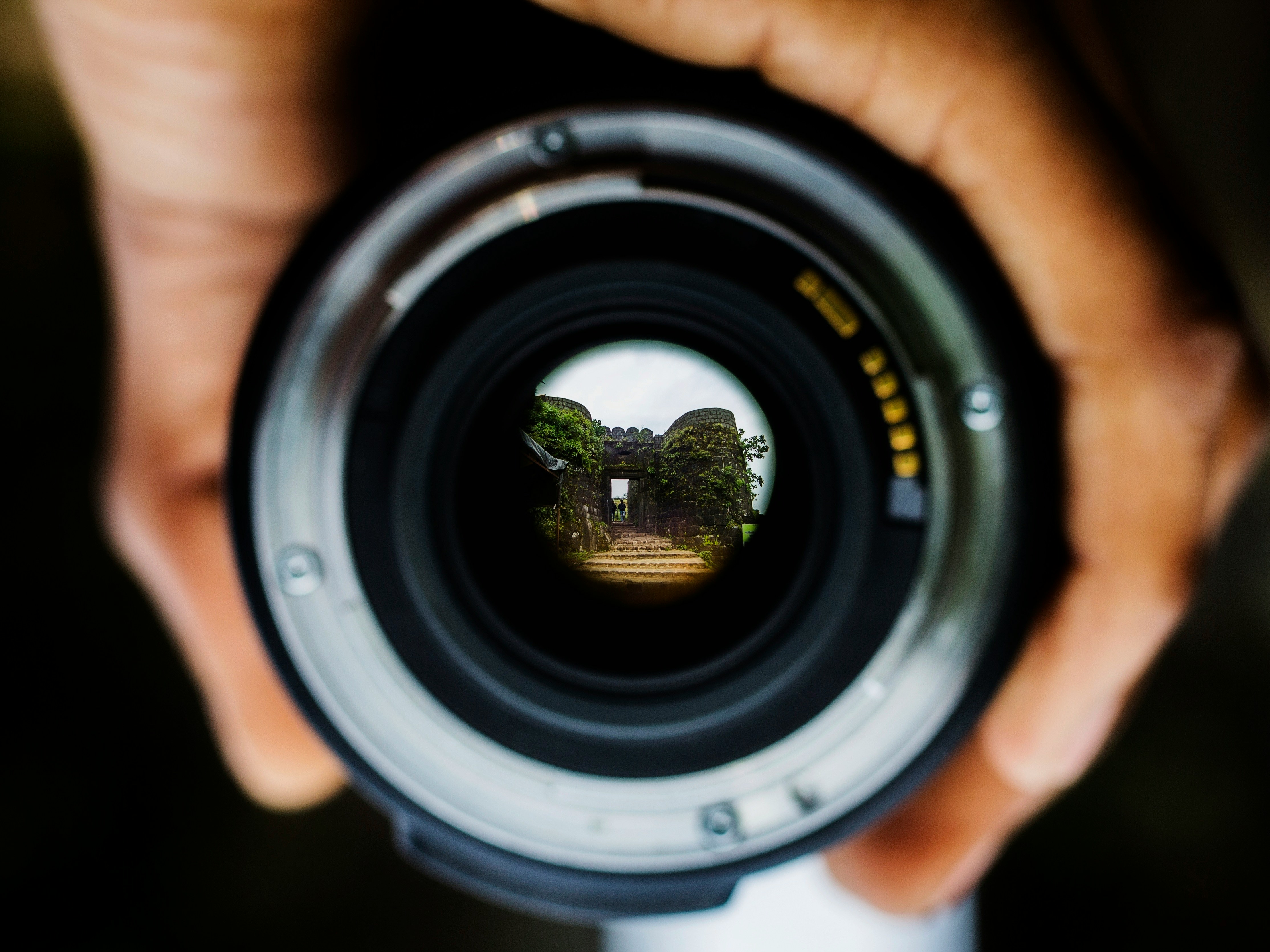 Cunoașterea distorsionării butoiului: un manual pentru fotografi