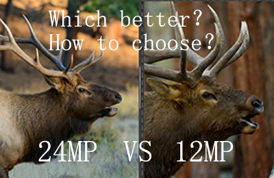 12MP vs. 24MP: Was ist der Unterschied? Wie wählt man aus?