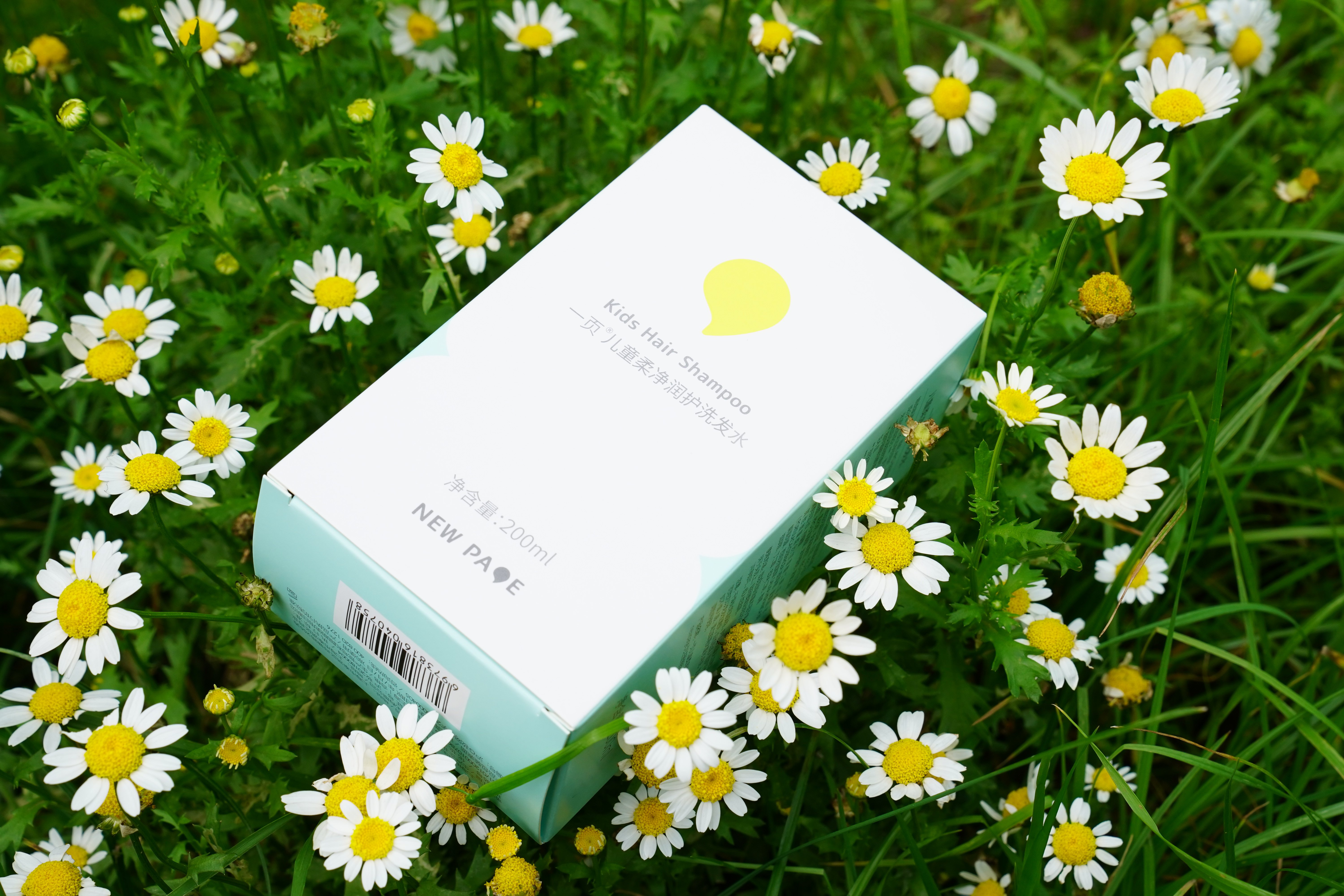 What Trends Are Driving Custom Packaging Innovation Today?