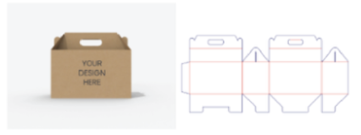 image.png（3）.png
