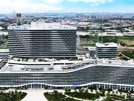 The Second People's Hospital of Foshan