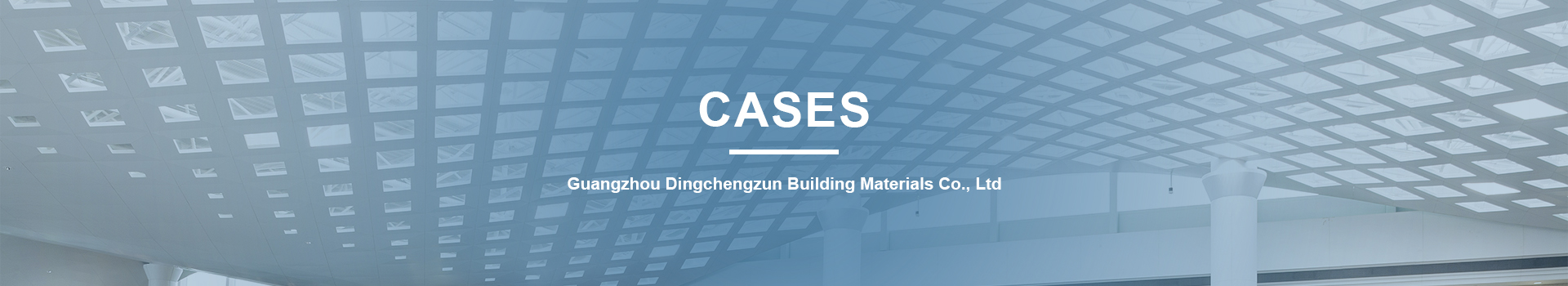 Cases