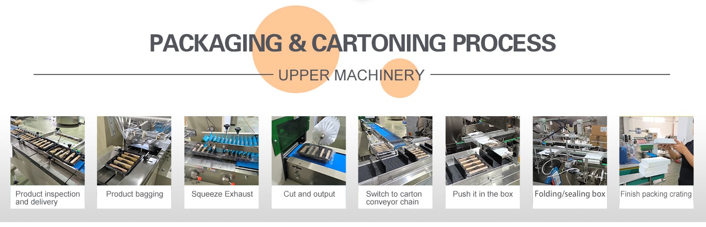 Carton box packing machine Automatic feeding and cartoning machine for meat floss rolls with tray details