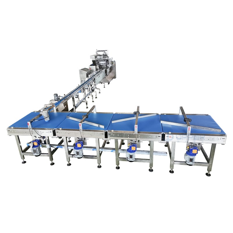 Frozen chicken steak automatic feeding, Sorting and packaging line