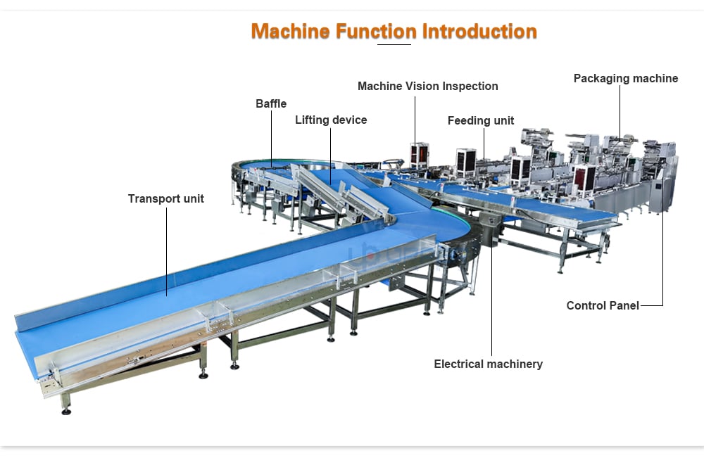 Case Packaging Systems: How They Work