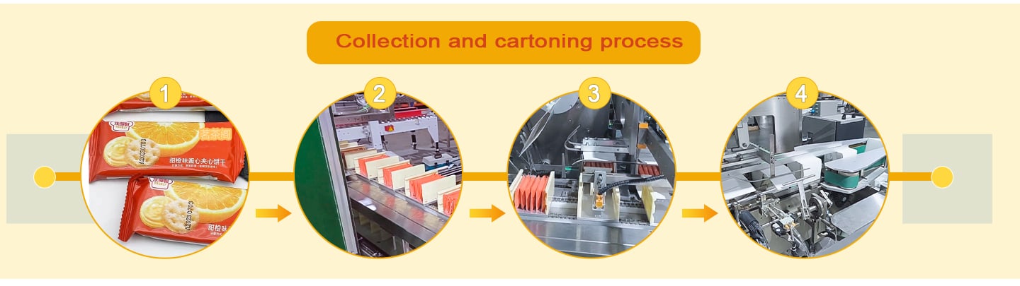 Automatic collection and orderly sorting machine Connecting the cartoning Machine manufacture