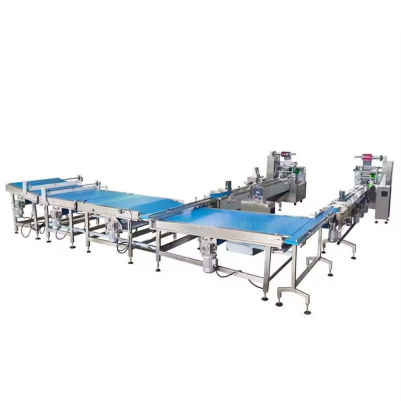 The Automation Revolution: Understanding Automatic Packaging Lines