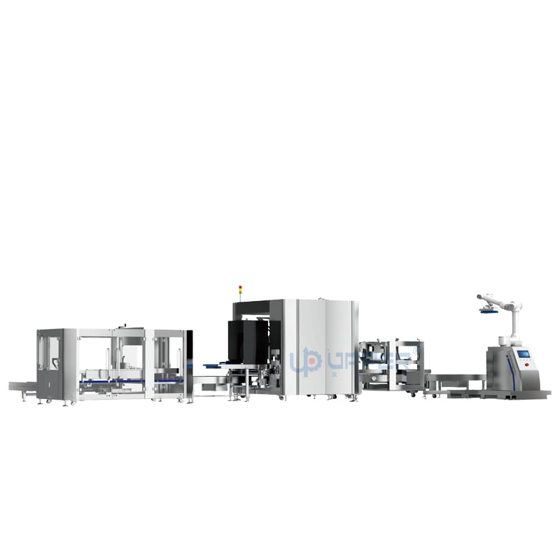 Robot grabbing chicken essence blocks, automatic case packing, sealing, alletizing and packaging system