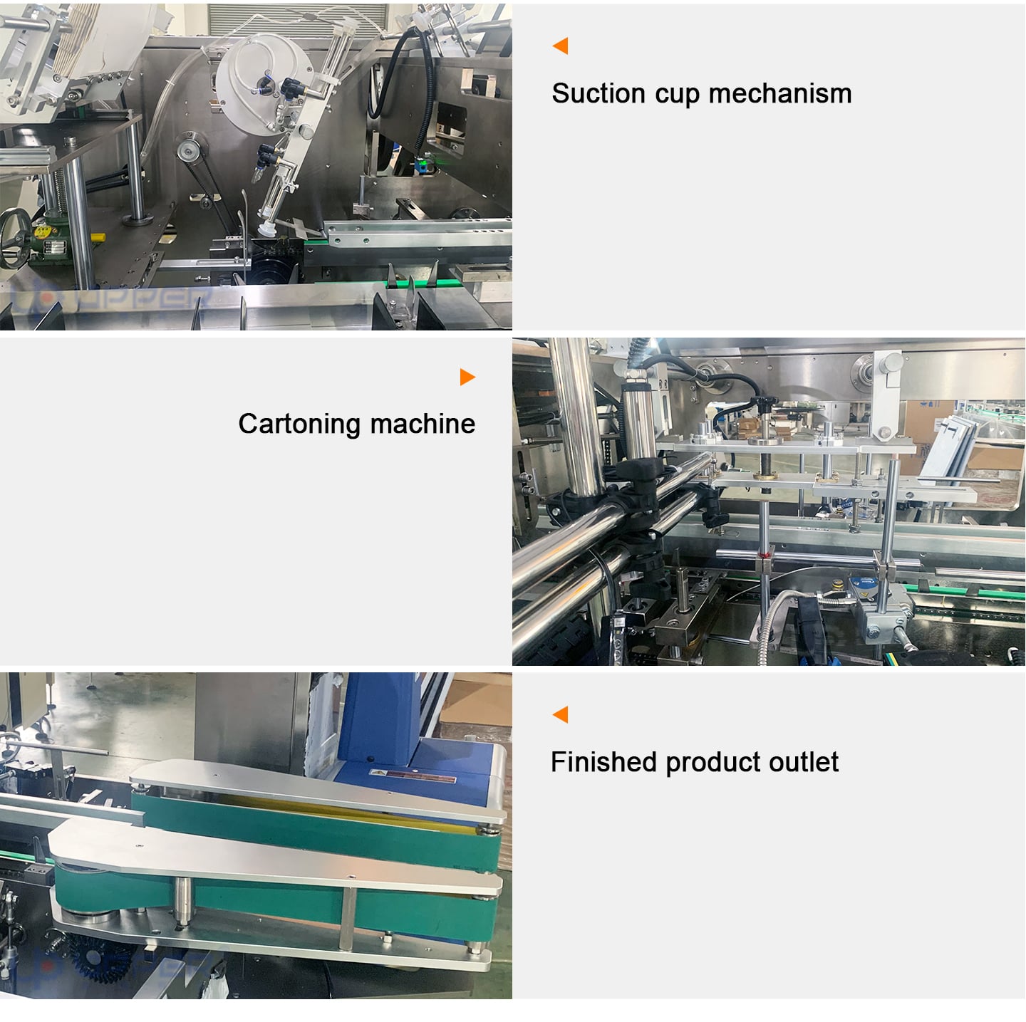 Carton box packing machine Automatic feeding and cartoning machine for meat floss rolls with tray factory
