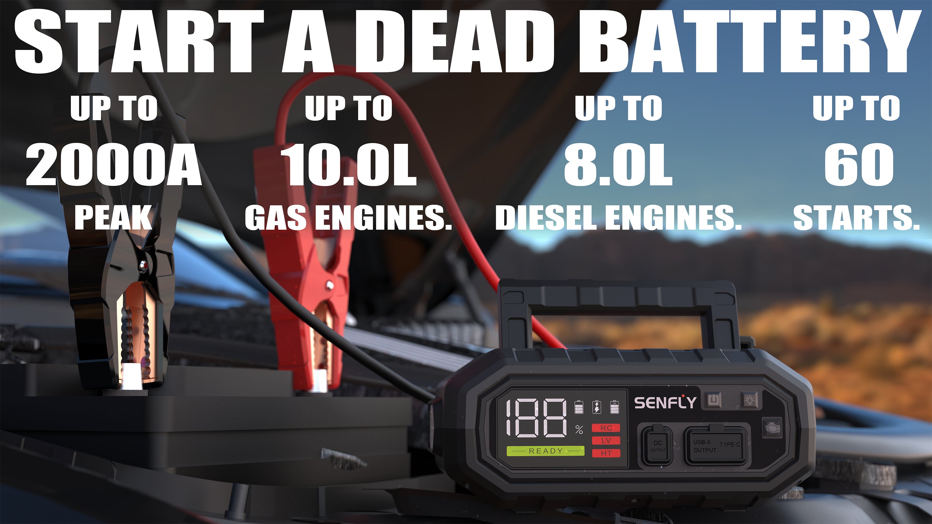 T15 详情 1.jpg