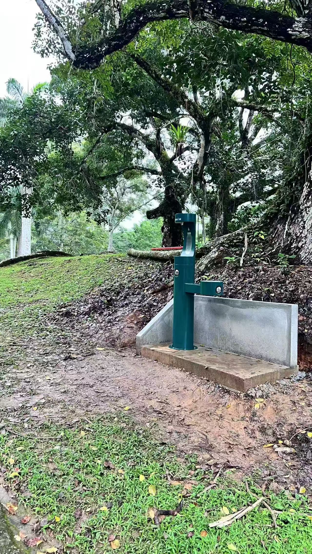 Outdoor Park In Panama